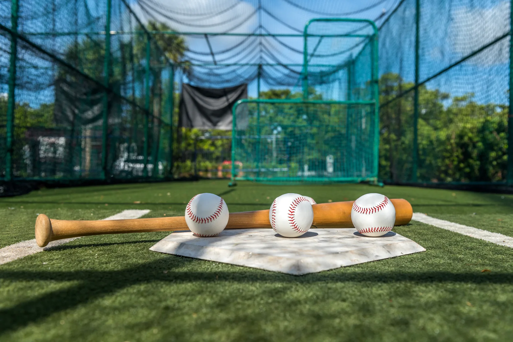 Baseball Bat And Balls